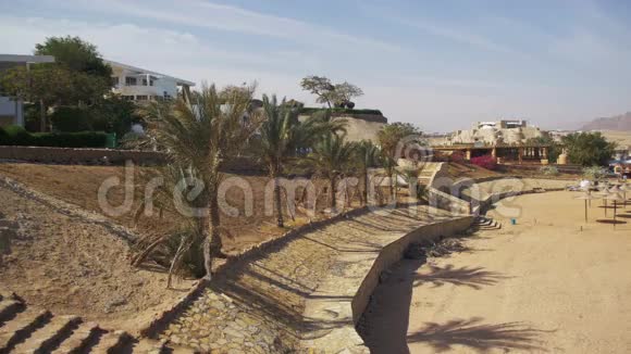 埃及海滩海滩酒店附近有棕榈树视频的预览图