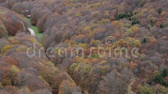秋天在意大利乌姆布里亚的库科山上的森林视频的预览图