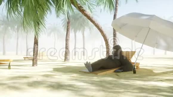 戴眼镜的滑稽大猩猩躺在躺椅上海滩和棕榈树水疗度假理念逼真的4K动画视频的预览图