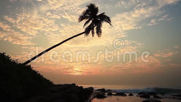 日落时海滩上孤独的棕榈树视频的预览图