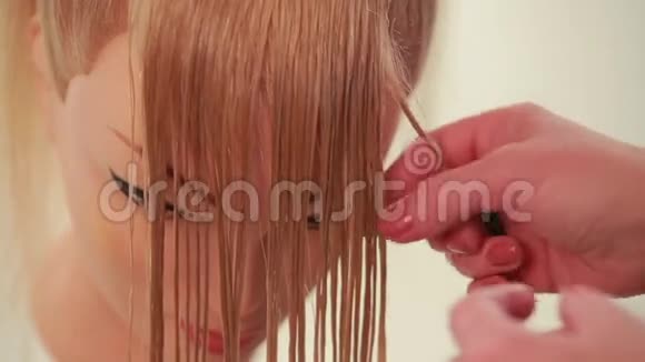 女孩做辫子巫师做人体模型的头发白色的关门视频的预览图