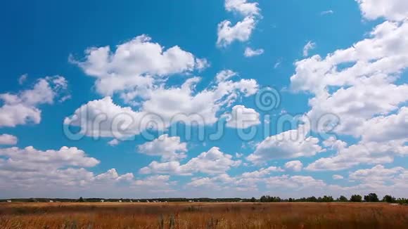 夏季野外景观视频的预览图