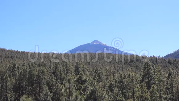 山区景观皮科德尔泰德特内里费加那利岛森林视频的预览图