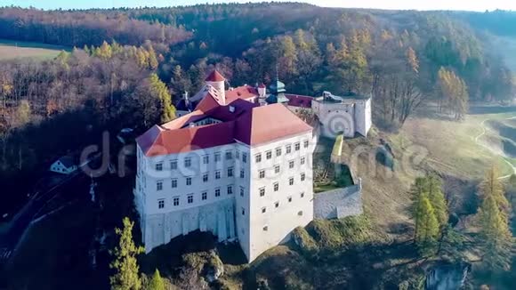 波兰克拉科夫附近的皮斯科瓦斯卡拉城堡视频的预览图