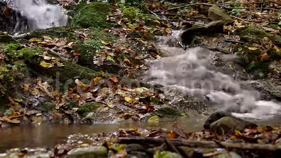 树林深处平静的小溪瀑布视频的预览图