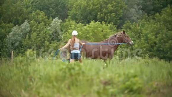 年轻女子带着一匹马在夏天的田野上奔跑视频的预览图