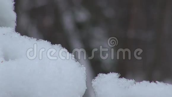 降雪时的积雪覆盖着雪花视频的预览图