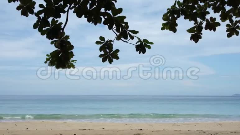 白色海滩和冲浪榕树的枝叶视频的预览图