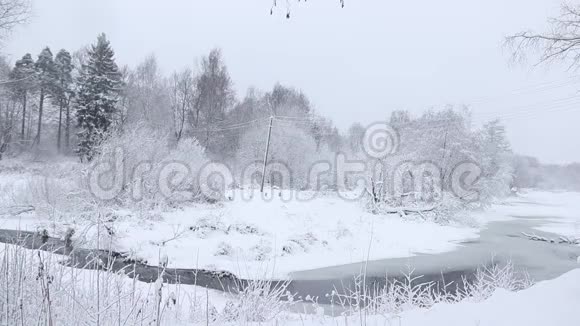 冬天的风景大自然在雪地里下着雪视频的预览图