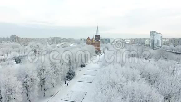白雪皑皑的城市里的大教堂视频的预览图