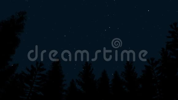 动画的夜空和黑色的树木轮廓视频的预览图