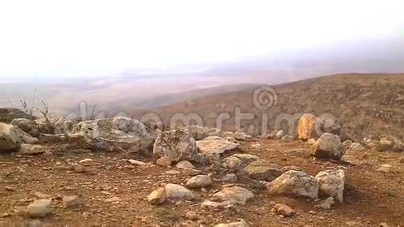 尼盖夫沙漠的野生景观视频的预览图