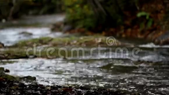 溪水流淌着白水视频的预览图