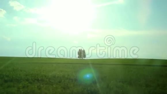 绿色的乡村田野在阳光的照耀下在缓慢的运动中视频的预览图