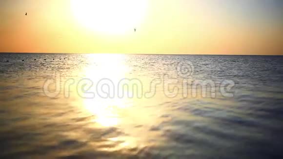观海上美丽的日落美景飞蝇视频的预览图