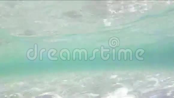 萨法里斯潜水珊瑚沙子和海洋生命视频的预览图