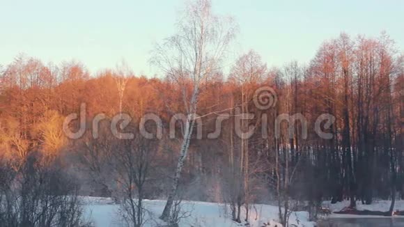 冬季仙境冬林景观全景视频的预览图