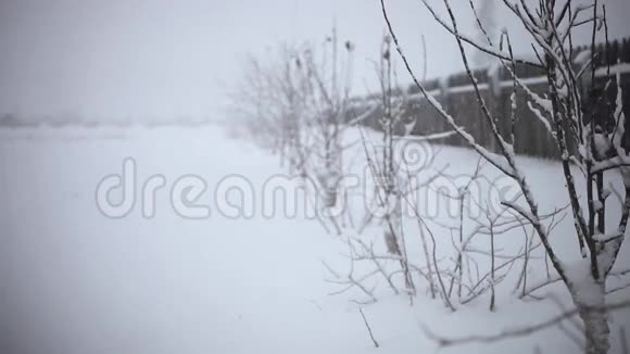 冬季道路上覆盖着白雪皑皑的树木和篱笆视频的预览图