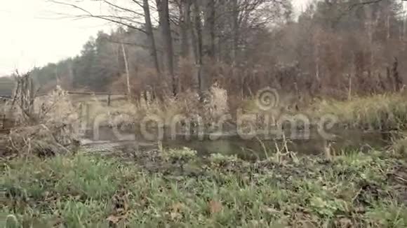 立陶宛的村庄秋天的河流树木和木桥视频的预览图