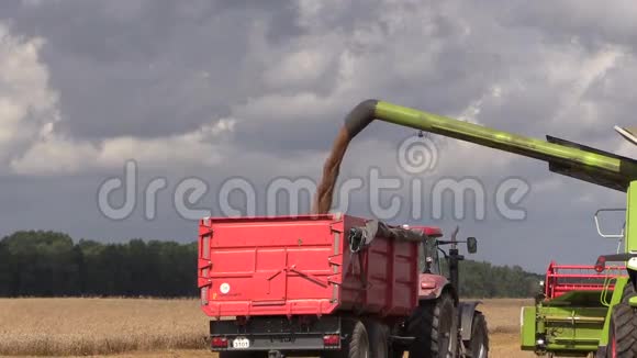 收割机在农田背景下卸下小麦视频的预览图