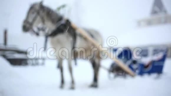 冬暖夏凉的圣诞节骑马视频的预览图