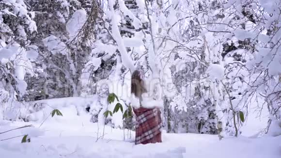 一个年轻的女孩带着一篮子普通话在冬天的森林里散步视频的预览图