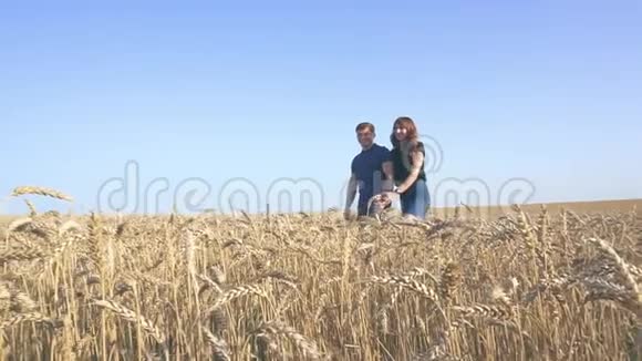 燕麦地背景下的夏季大自然中的年轻情侣视频的预览图