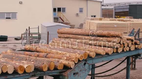 一家木工厂的原木传送带生产木制木材视频的预览图