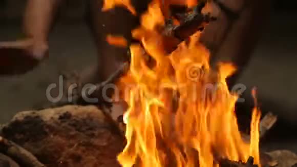 燃烧的篝火视频的预览图