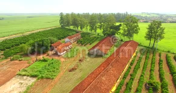 巴西南美洲种植咖啡和农场视频的预览图