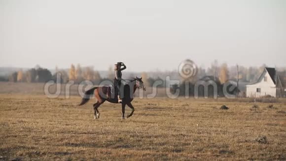 户外棕马的牛仔妹日出时骑马的年轻女子视频的预览图