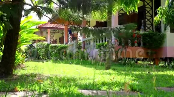 泰国鸟在院子里的房子里走来走去视频视频的预览图