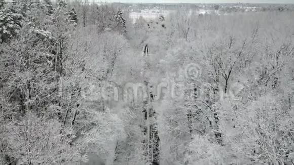 白雪覆盖的冬日木巷有一条路视频的预览图