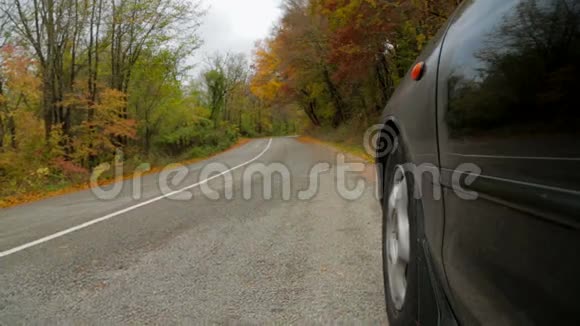 汽车在秋天的森林里沿着公路行驶视频的预览图