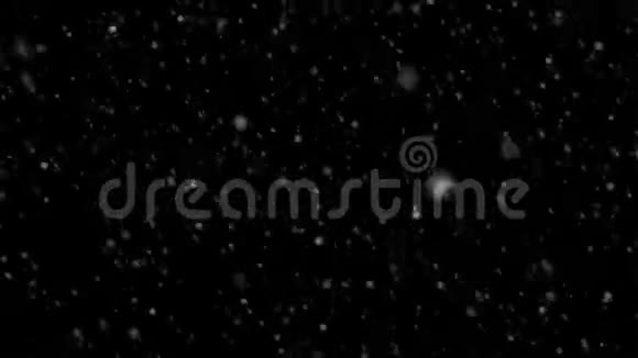 高质量的运动动画在黑色背景上落下雪花视频的预览图