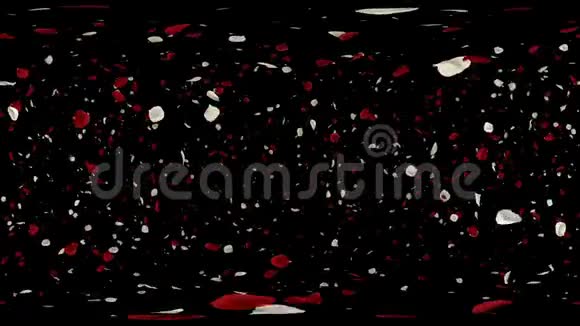 360VR飞行浪漫红白玫瑰花瓣落阿尔法通道循环视频的预览图
