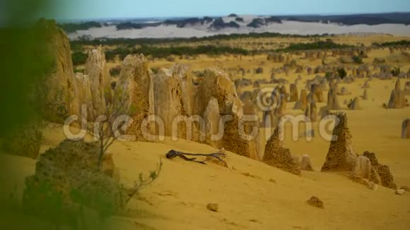 澳大利亚珀斯的仙人掌沙漠日出视频的预览图