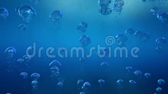 水母在水下看泡泡视频的预览图