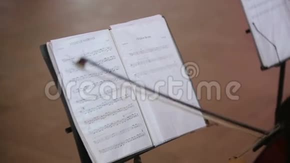 演奏中提琴的音乐家视频的预览图