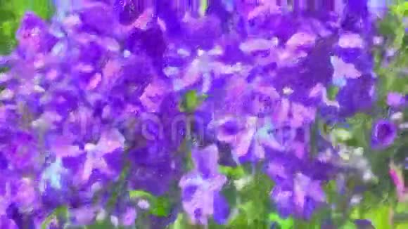一个动画卡通片美丽的蓝色花朵视频的预览图
