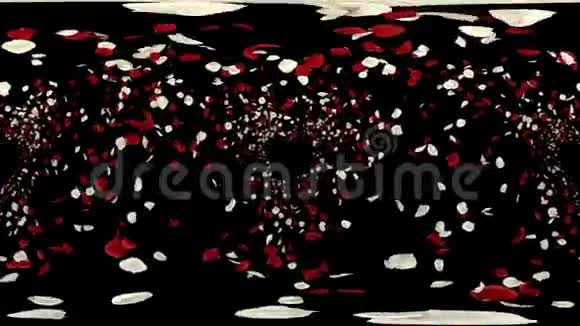 360VR飞行浪漫红白玫瑰花瓣落阿尔法通道循环视频的预览图