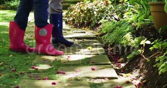 高级夫妇在花园里用浇水罐浇水视频的预览图
