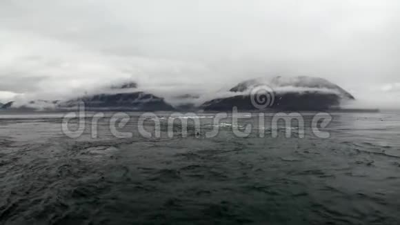 裘皮海豹潜入阿拉斯加背景海岸的太平洋水域视频的预览图