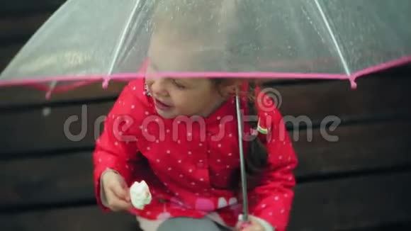 小女孩带着雨伞在雨中玩耍在海岸吃冰淇淋视频的预览图