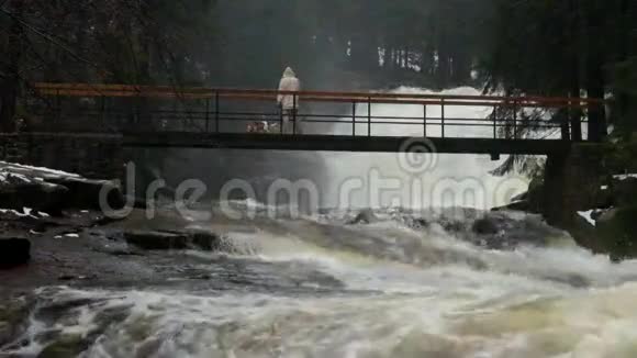 有狗的男人在小桥下湍急的水流汹涌而来害怕洪水视频的预览图