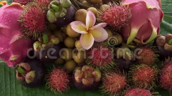 介绍珍奇的泰国热带水果包括兰布坦龙果龙眼芒果视频的预览图