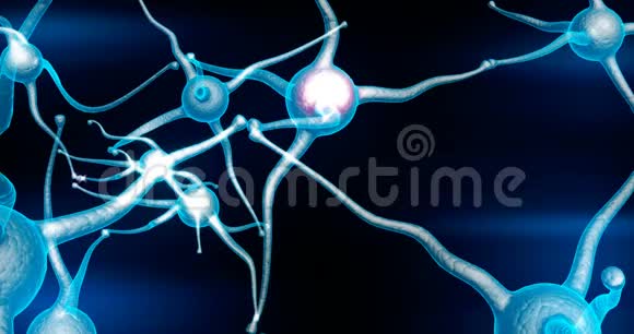 具有红色电脉冲活动的蓝神经元突触网络视频的预览图