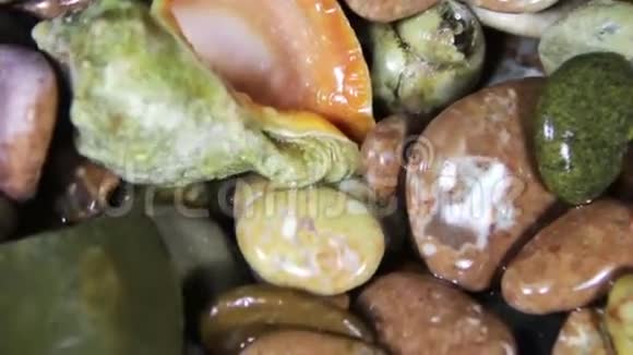 海石和贝壳旋转视频的预览图