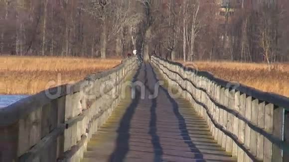 秋湖上空木桥视频的预览图