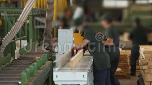 人们在木工工厂工作在输送机上工作现代木工工厂视频的预览图